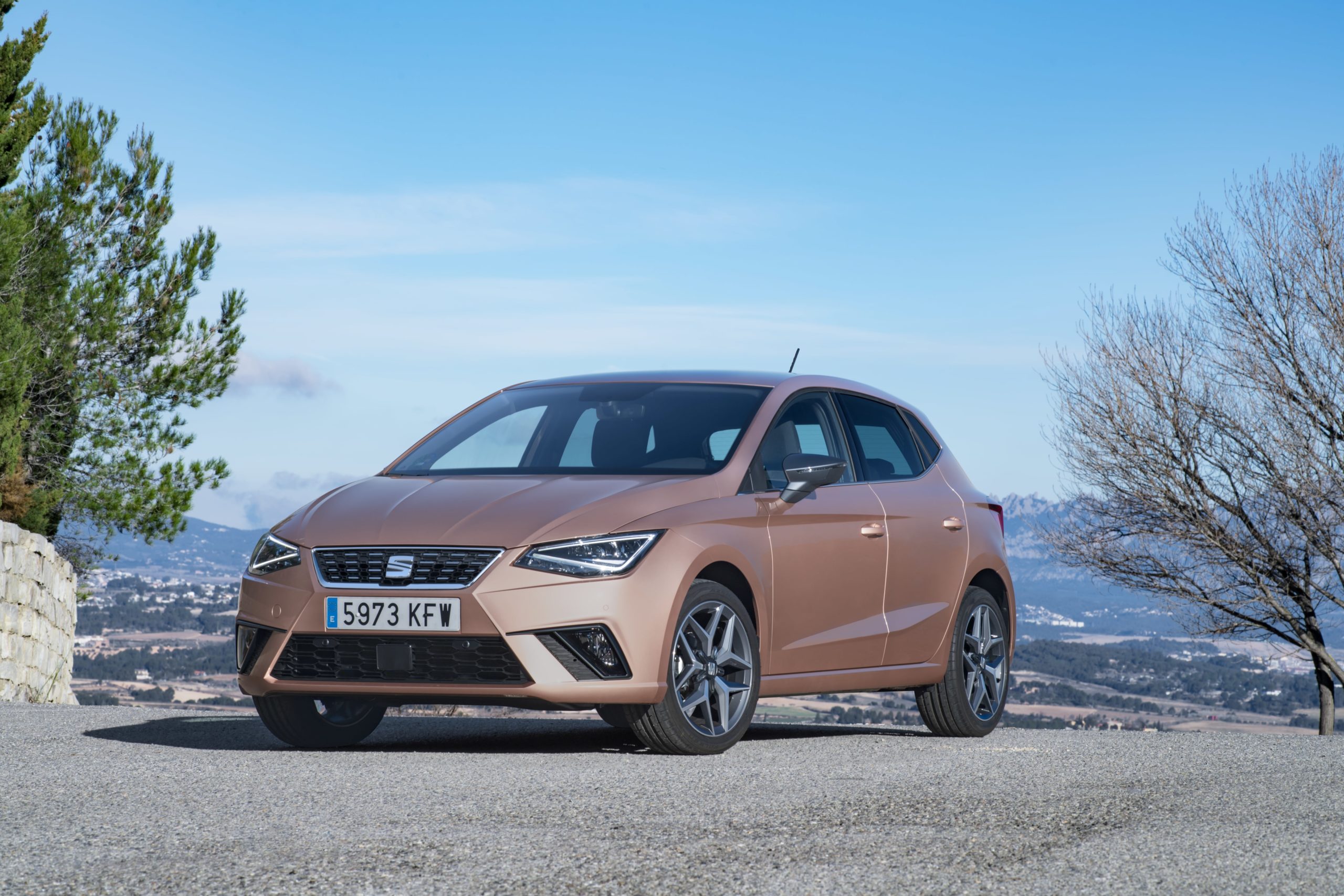 seat-ibiza-motores seat ibiza motores